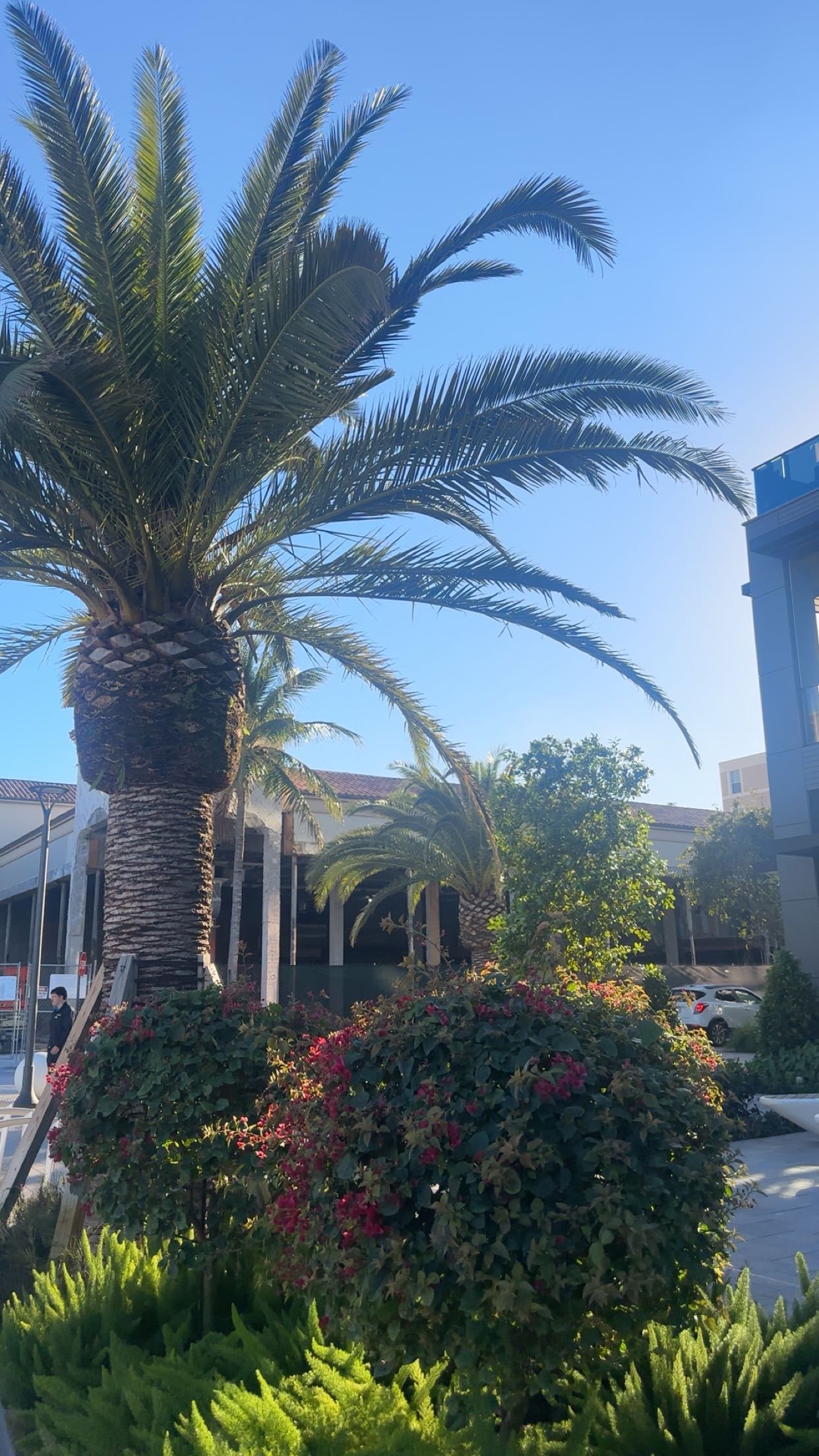 kylaayese snapchat image archive image