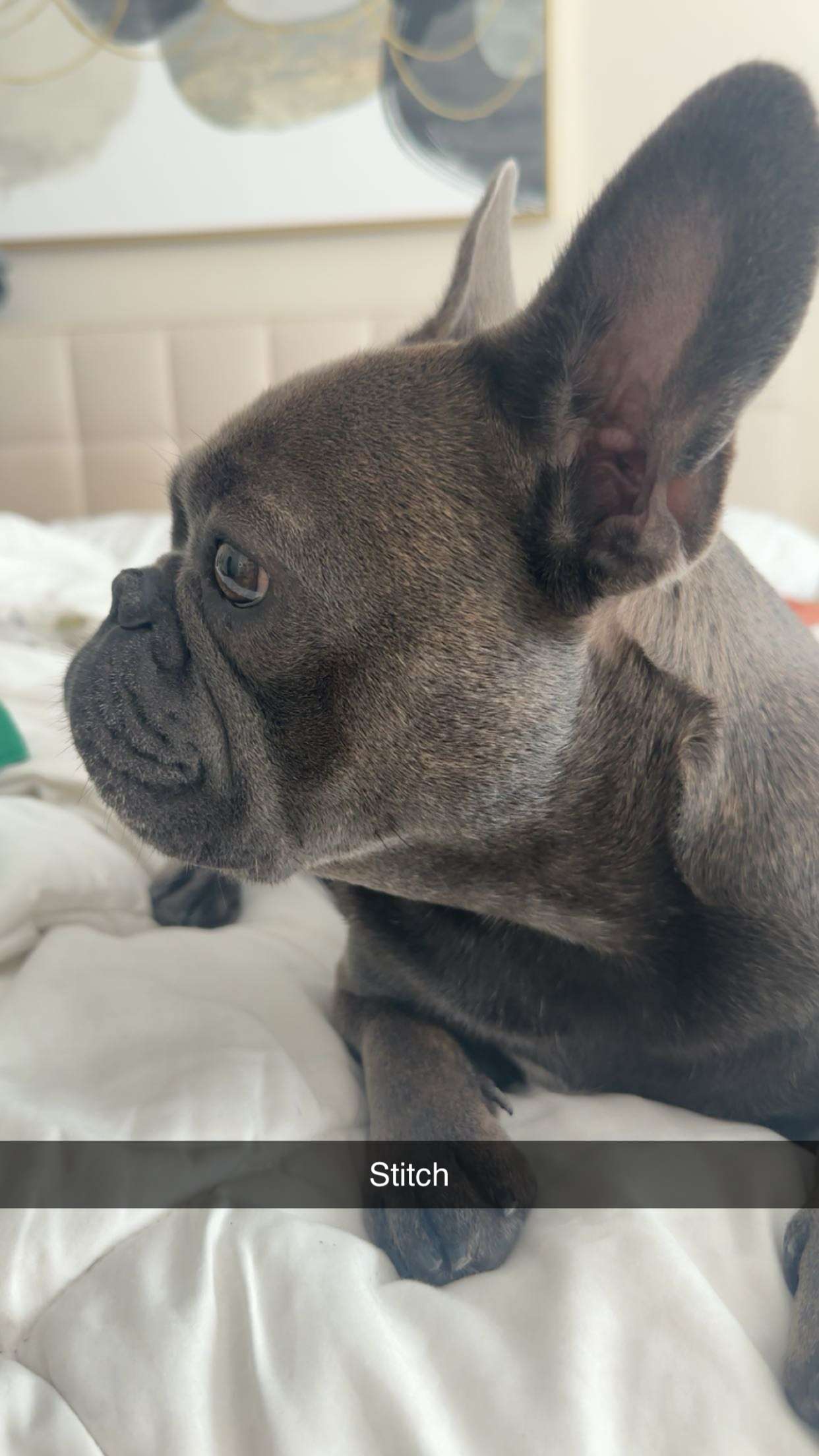 kylaayese snapchat image archive image