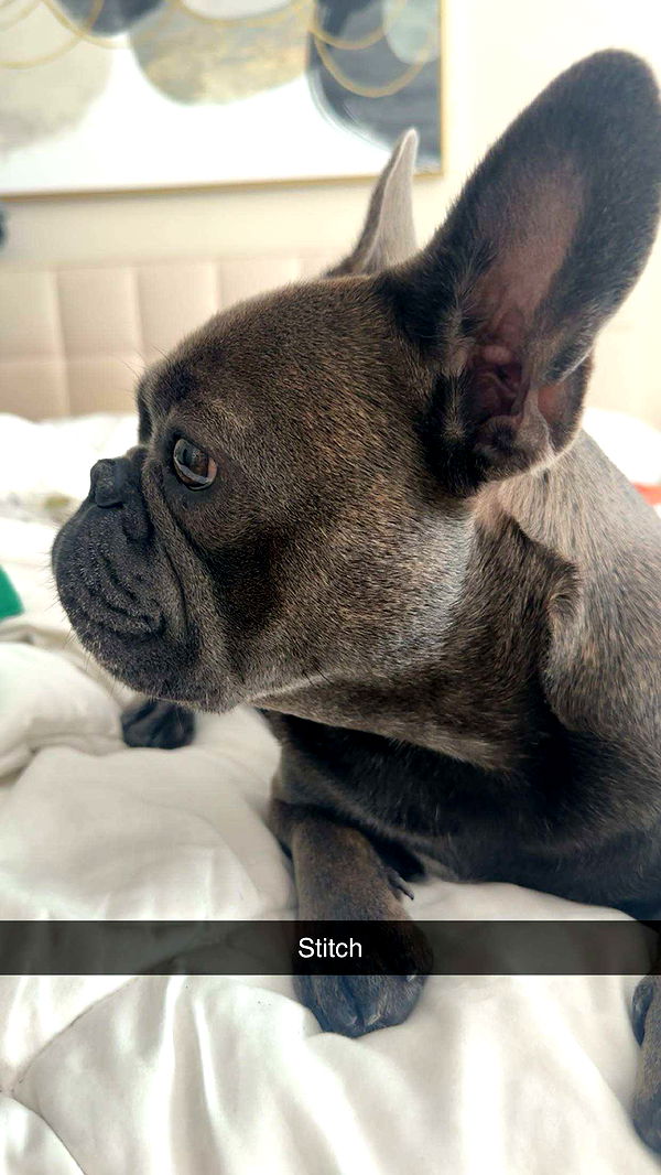 kylaayese image ~ Altpins