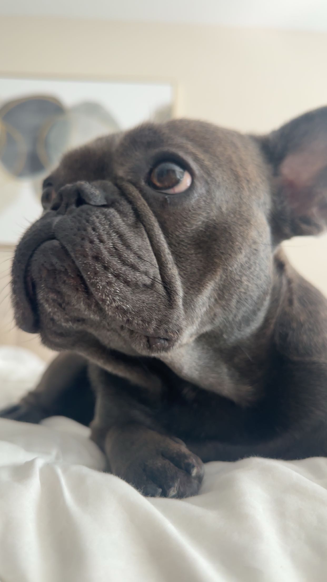 kylaayese snapchat image archive image