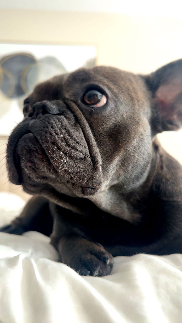 kylaayese image ~ Altpins