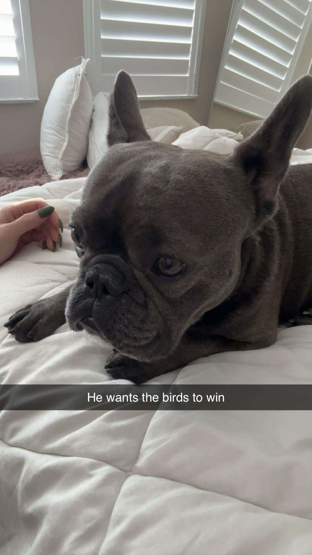 kylaayese snapchat image archive image