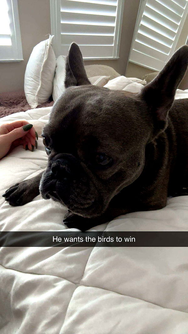 kylaayese image ~ Altpins