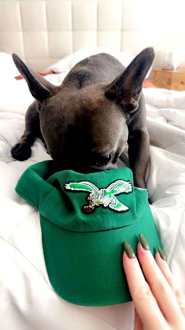 kylaayese image ~ Altpins