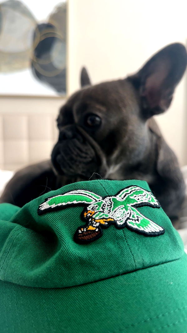 kylaayese image ~ Altpins