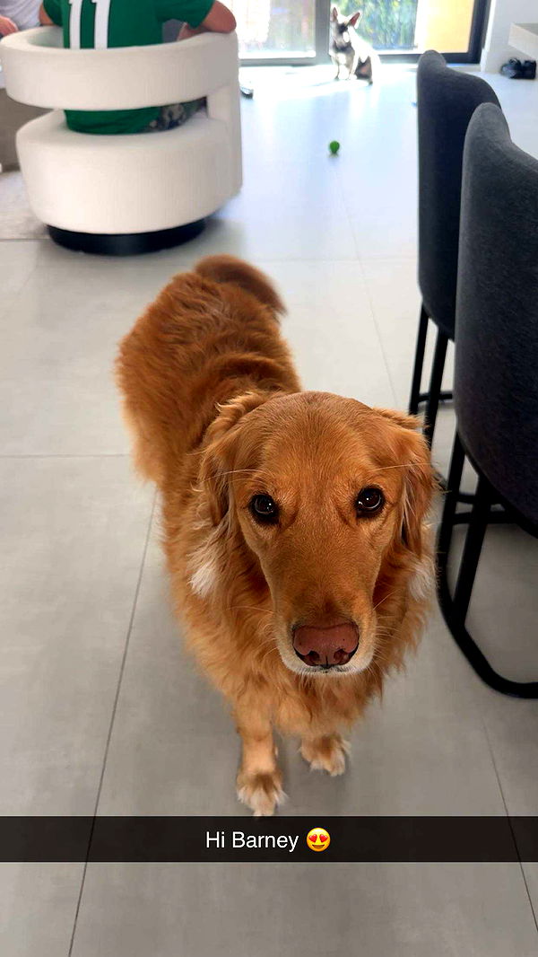 kylaayese image ~ Altpins