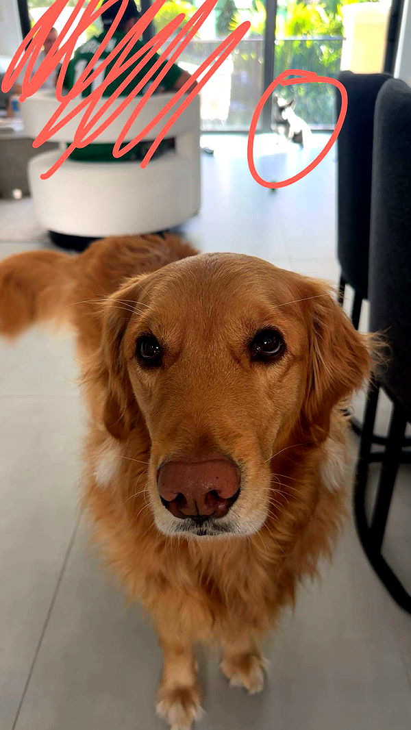 kylaayese image ~ Altpins