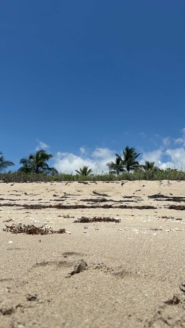 kylaayese snapchat image archive image