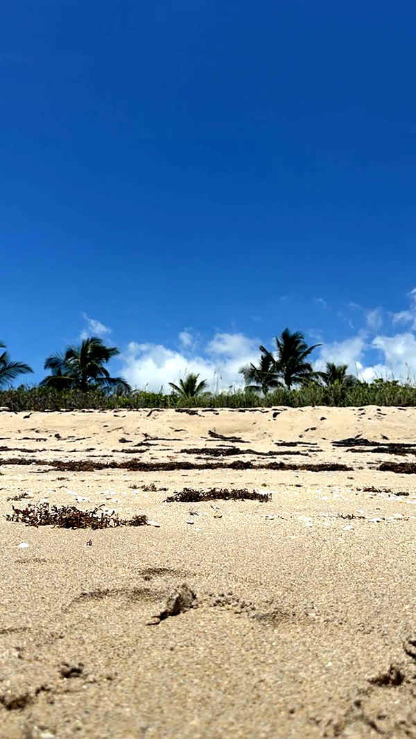 kylaayese image ~ Altpins