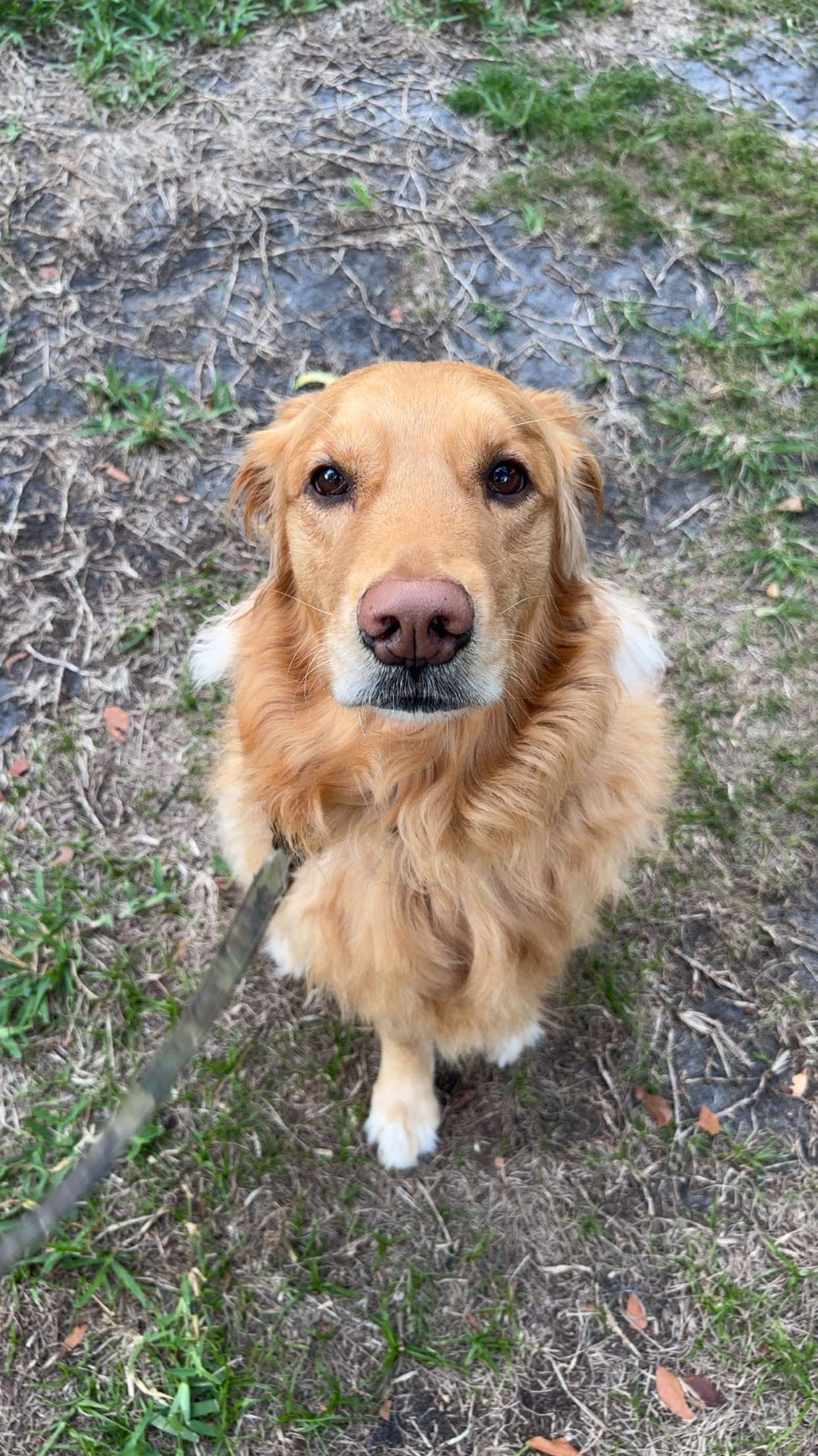 kylaayese snapchat image archive image