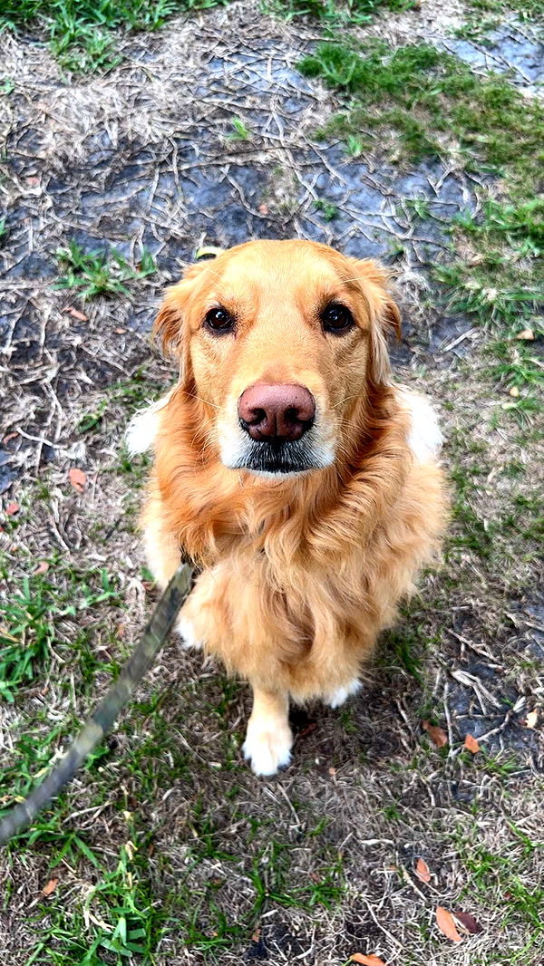 kylaayese image ~ Altpins