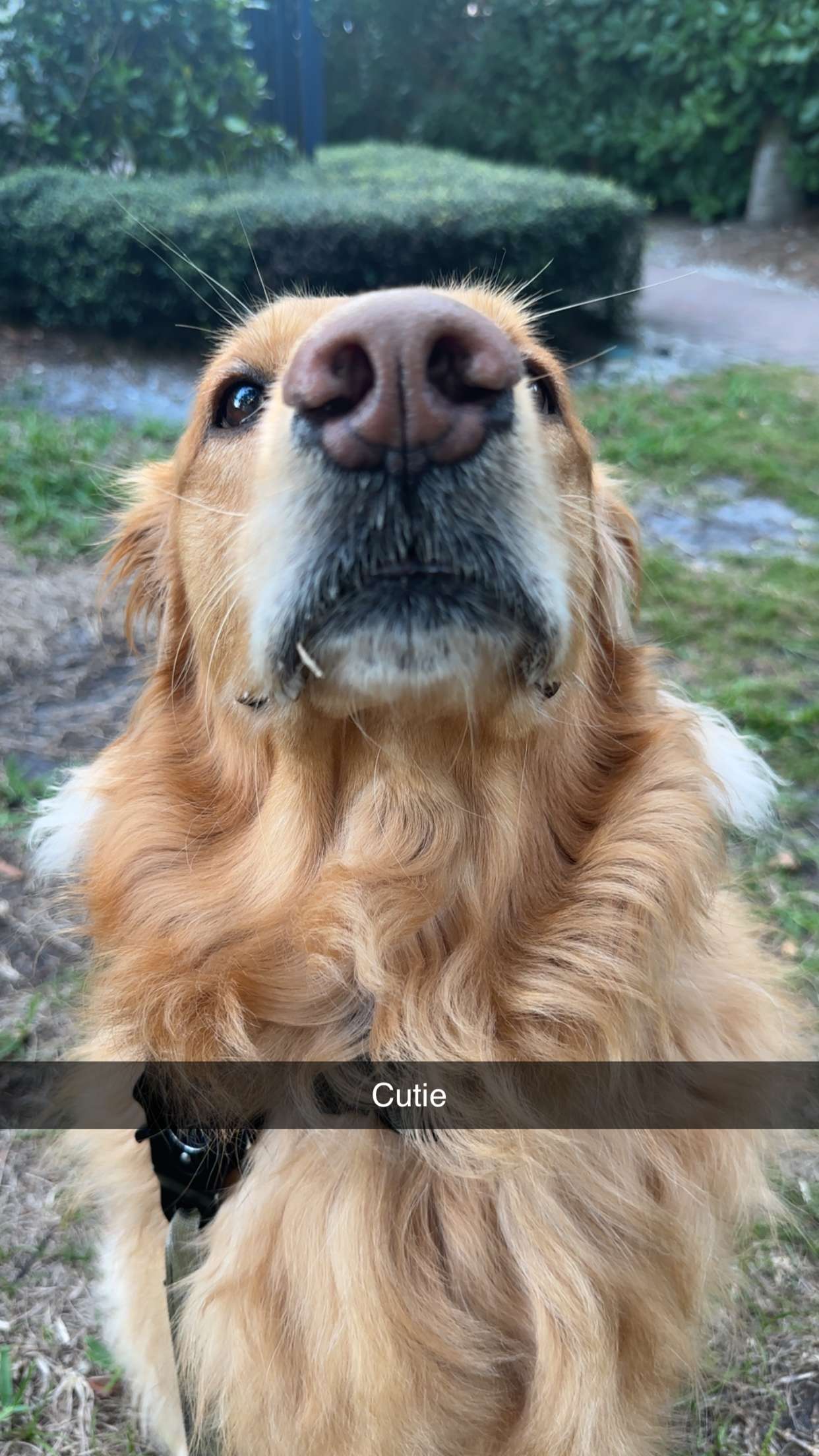 kylaayese snapchat image archive image