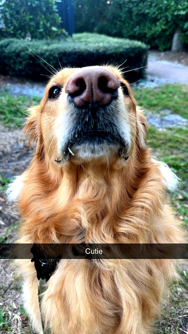 kylaayese image ~ Altpins