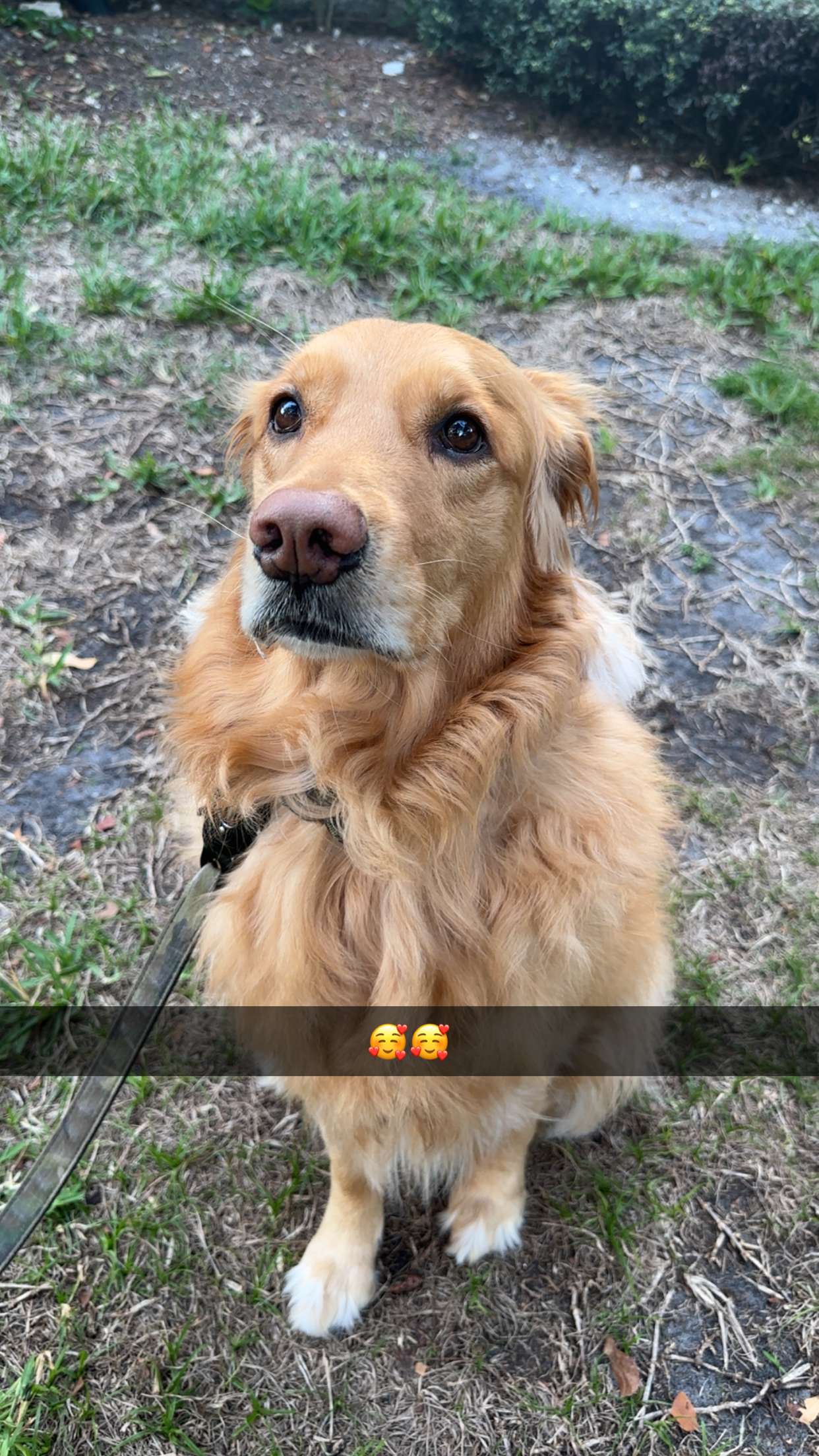 kylaayese snapchat image archive image