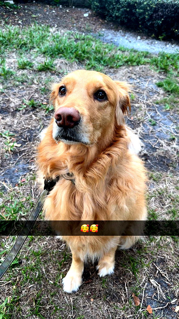 kylaayese image ~ Altpins