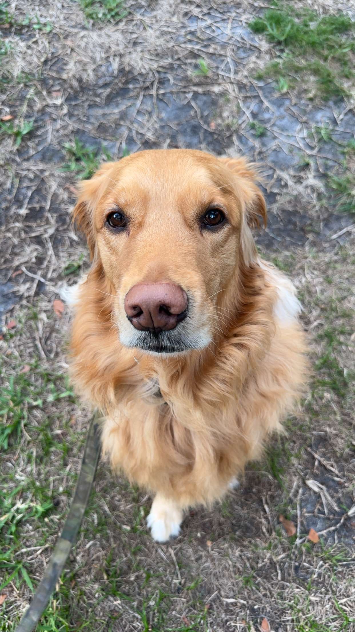 kylaayese snapchat image archive image