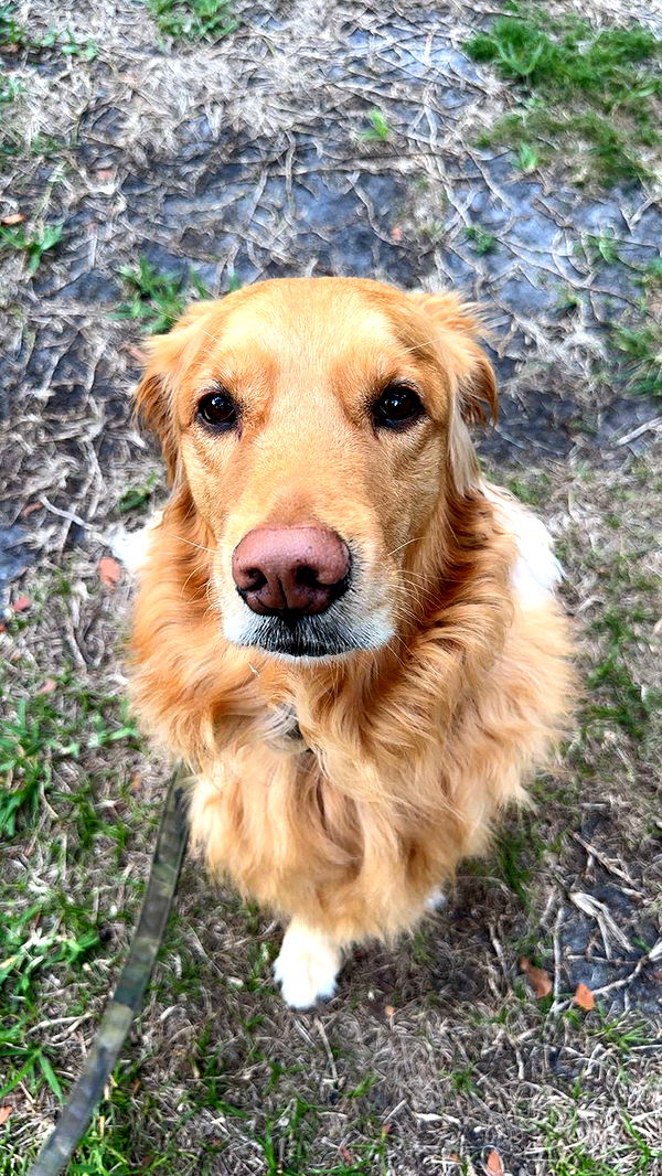 kylaayese image ~ Altpins