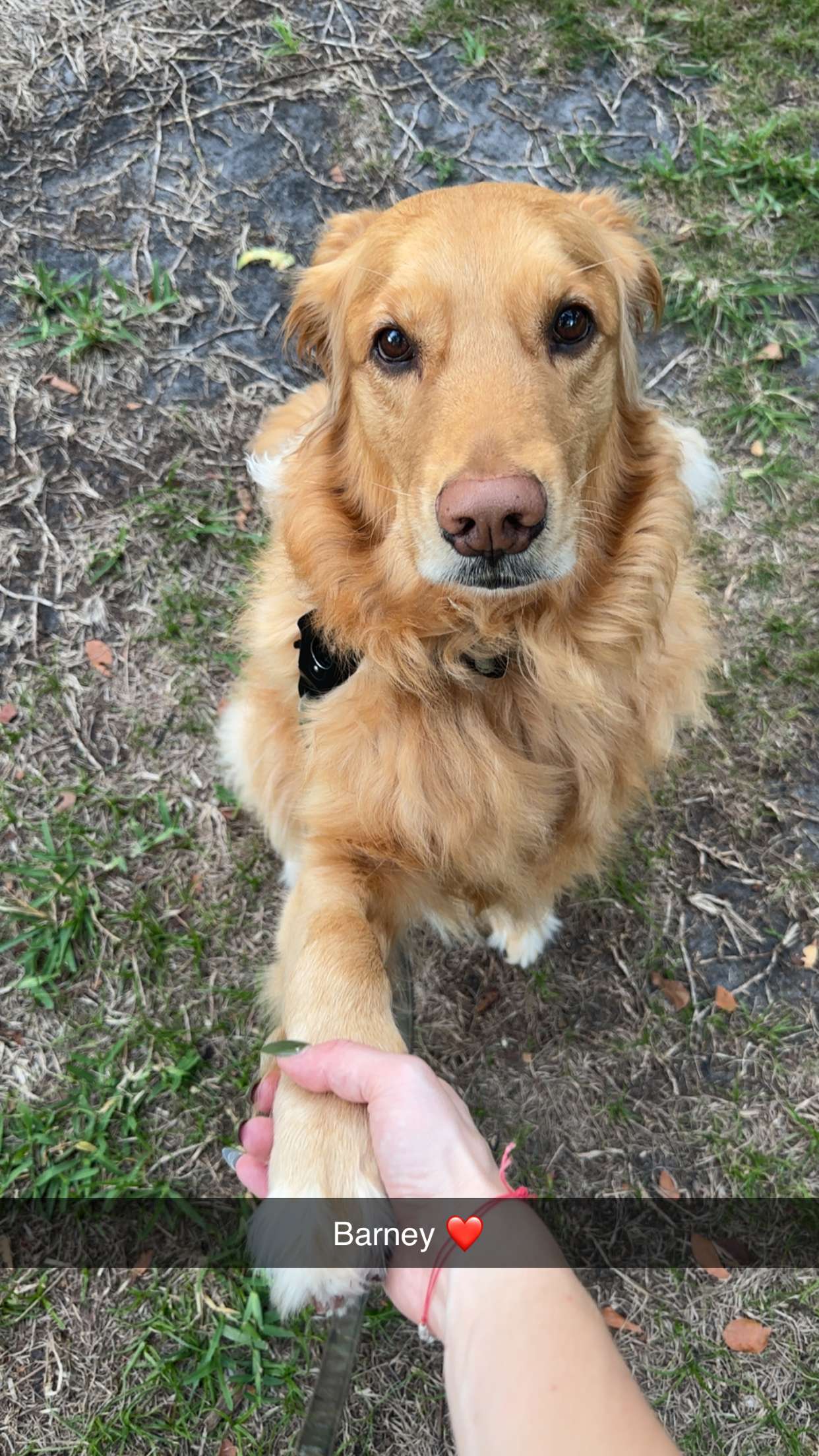 kylaayese snapchat image archive image