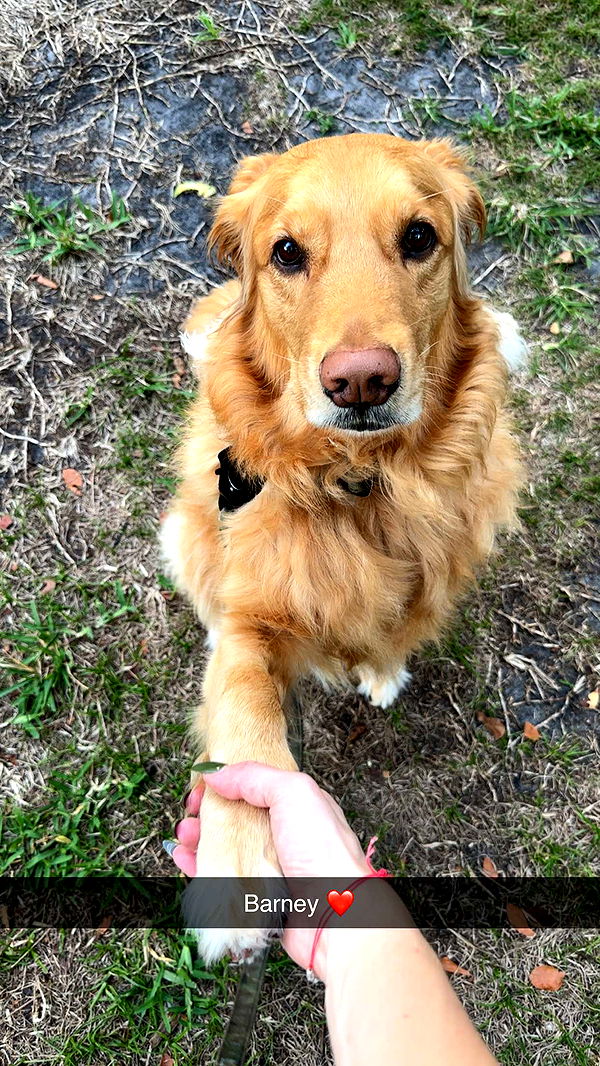 kylaayese image ~ Altpins