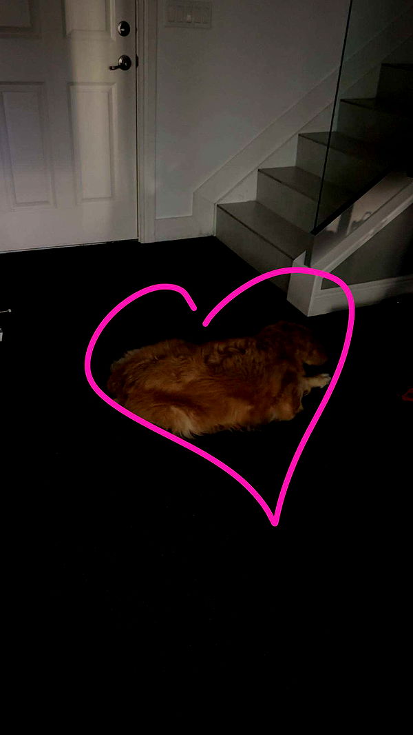 kylaayese image ~ Altpins