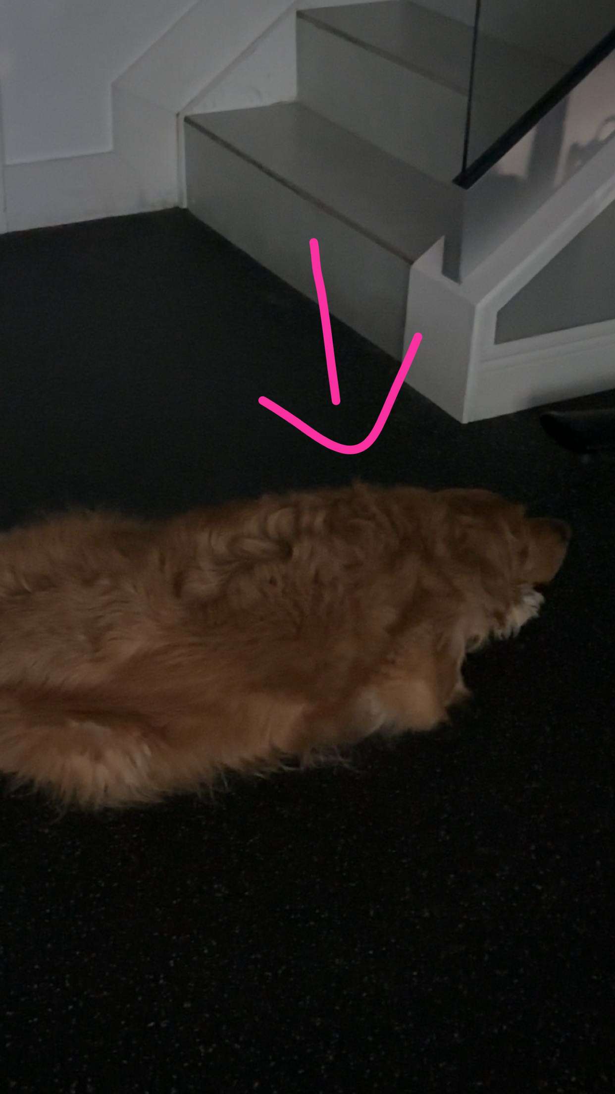 kylaayese snapchat image archive image