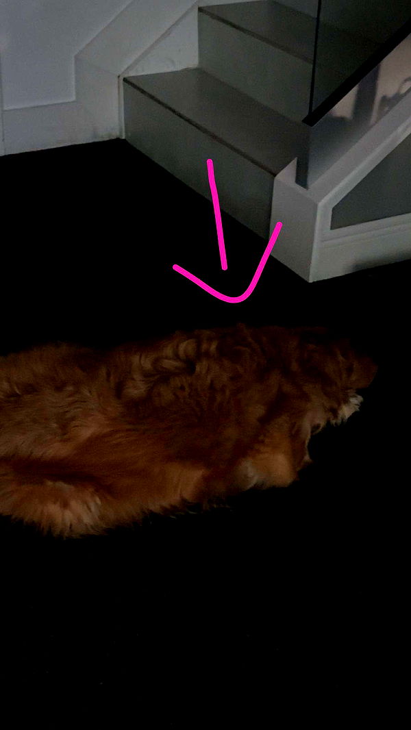 kylaayese image ~ Altpins