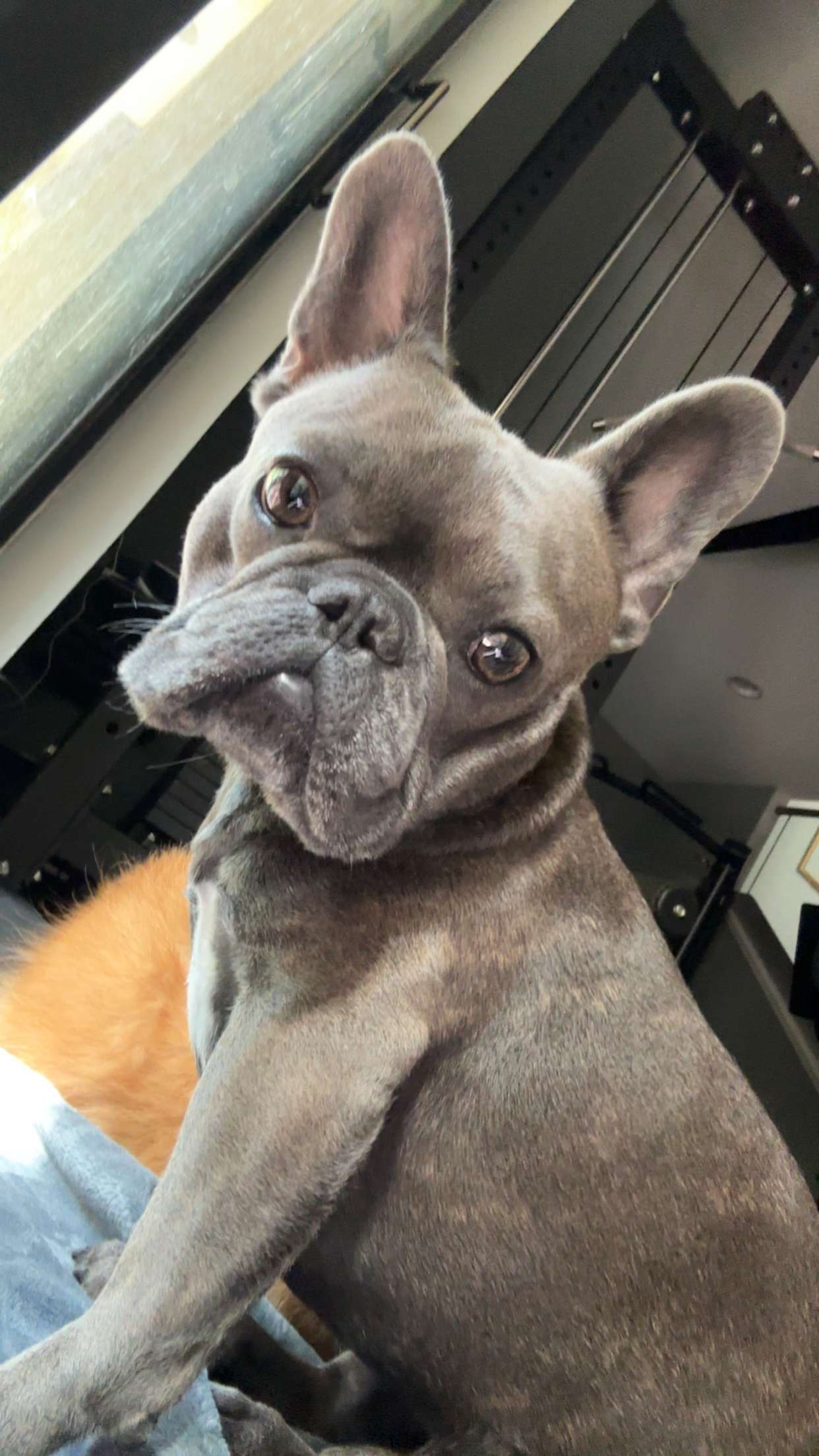 kylaayese snapchat image archive image