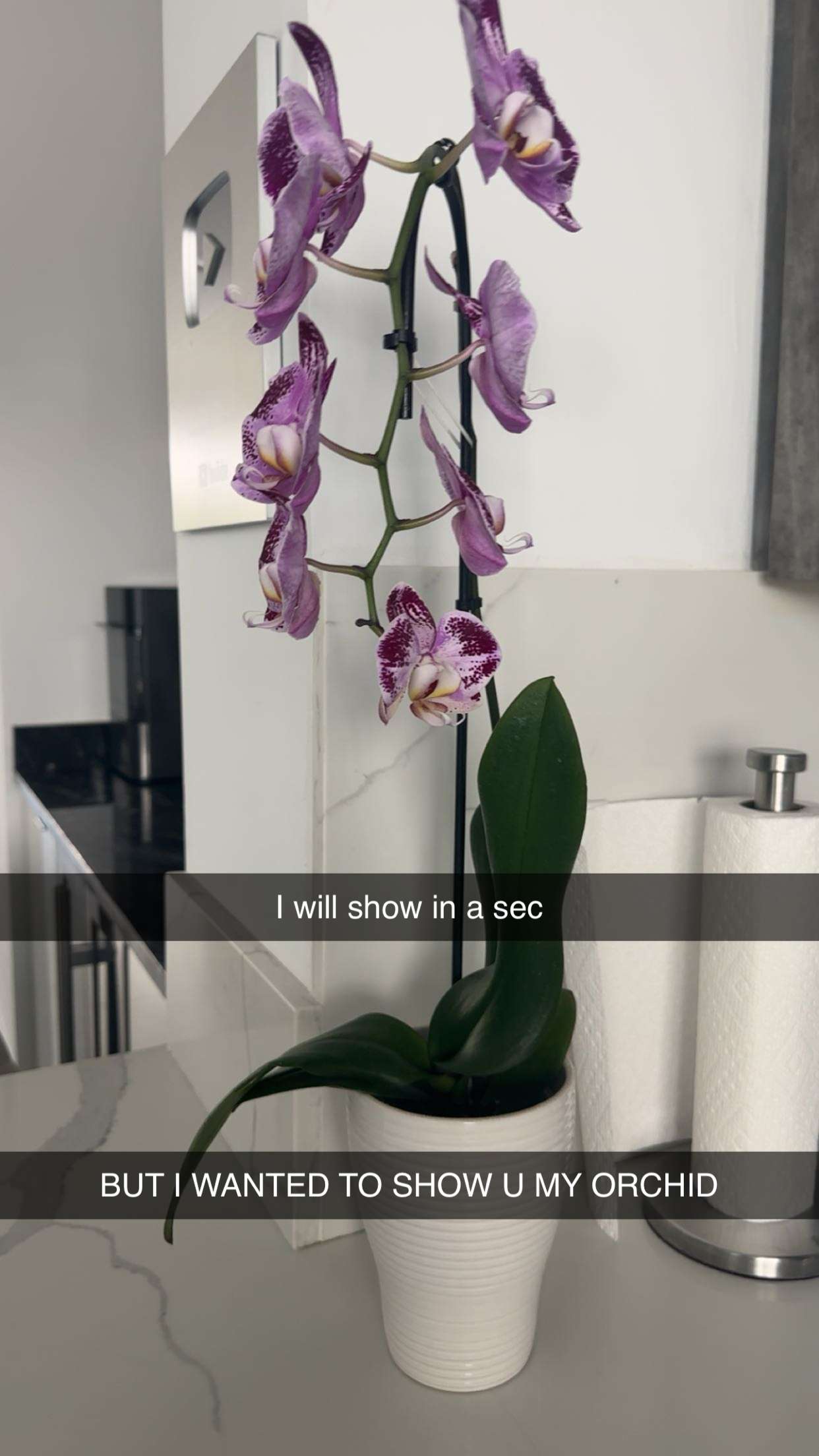 kylaayese snapchat image archive image