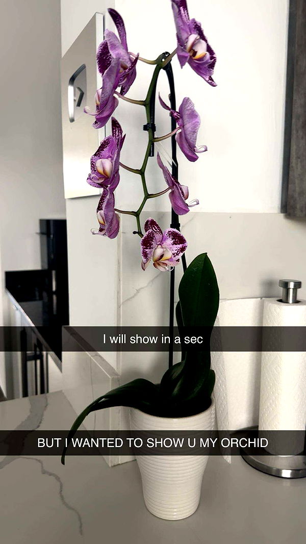 kylaayese image ~ Altpins