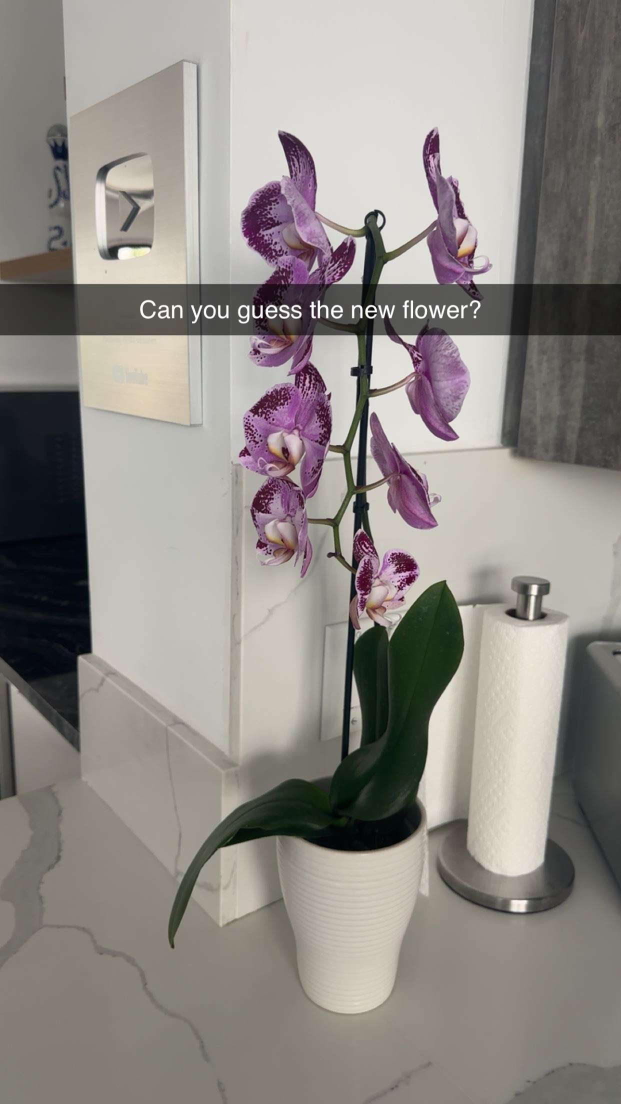 kylaayese snapchat image archive image