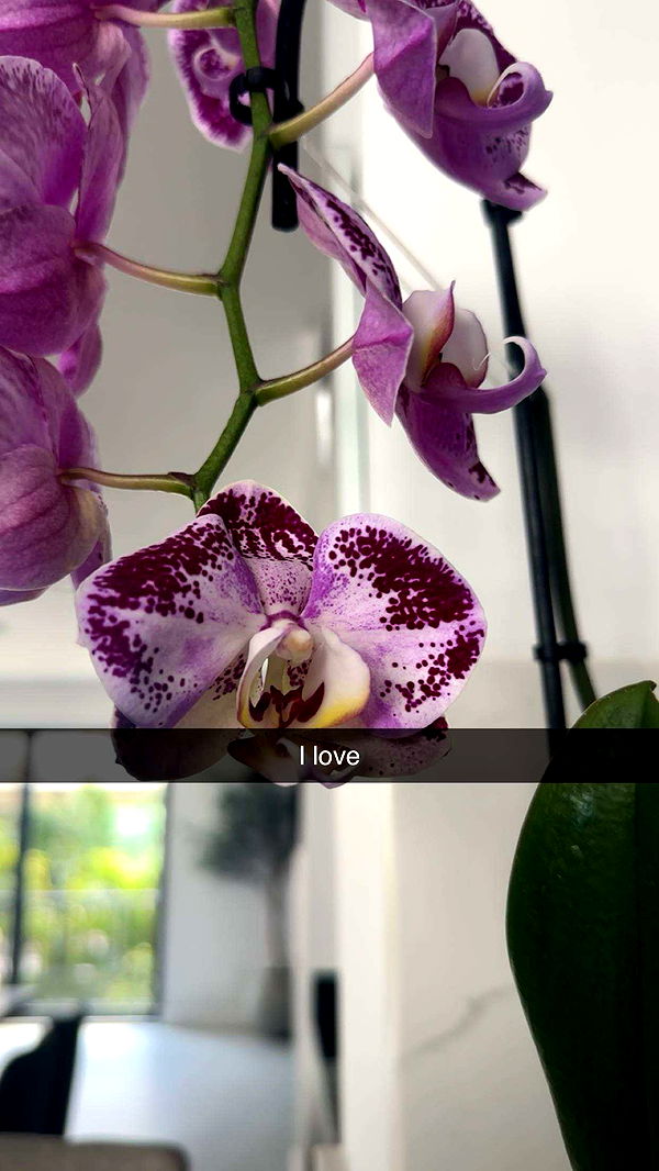 kylaayese image ~ Altpins