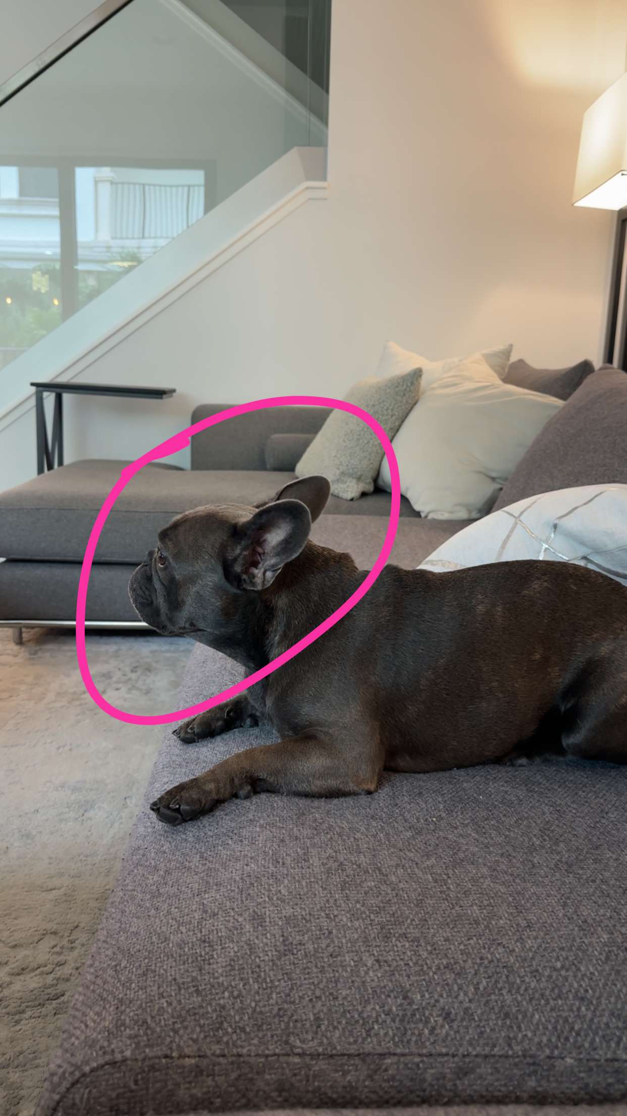 kylaayese snapchat image archive image