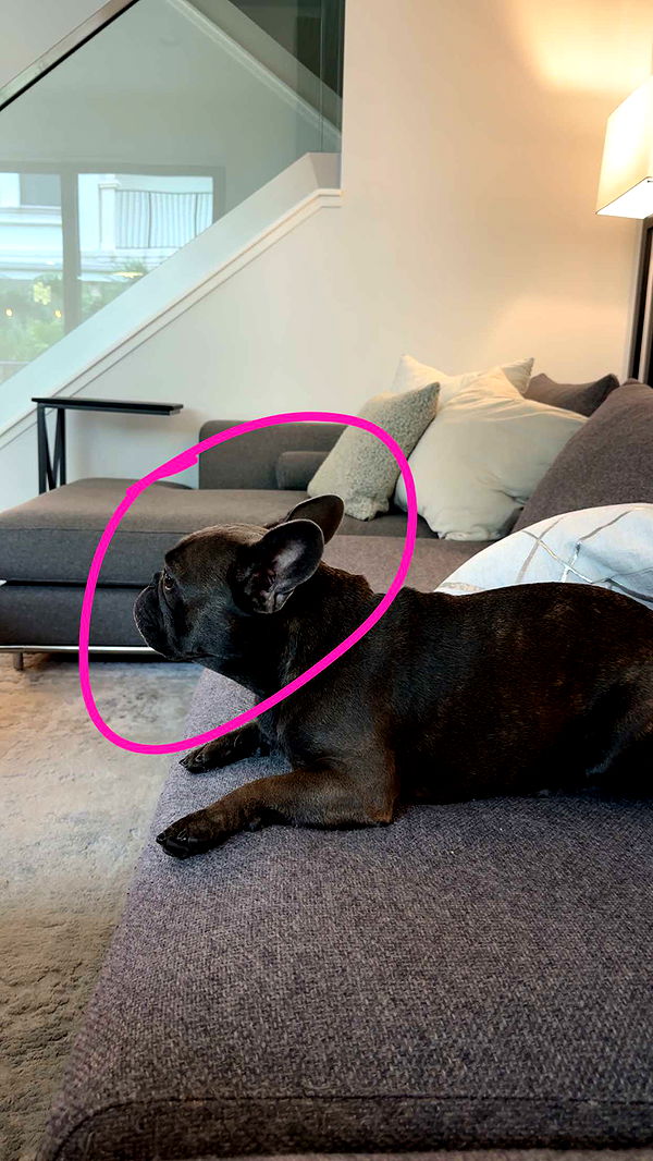 kylaayese image ~ Altpins