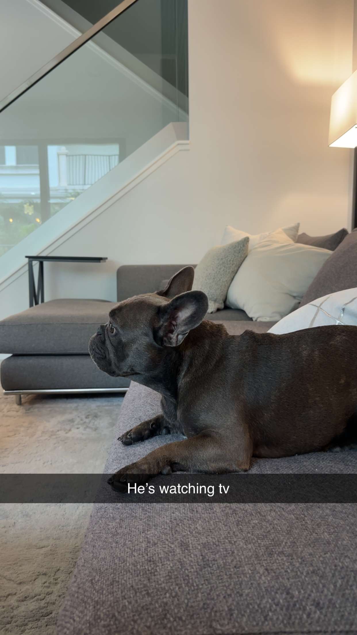 kylaayese snapchat image archive image