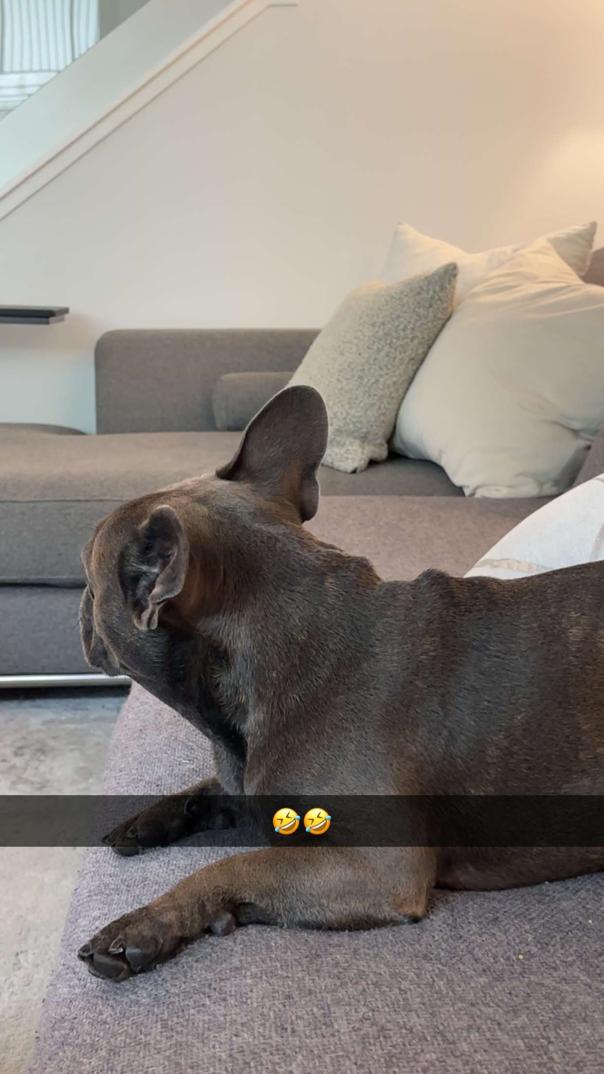 kylaayese snapchat image archive image