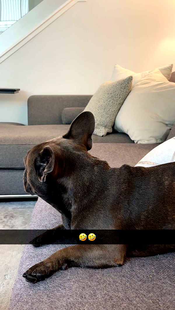 kylaayese image ~ Altpins