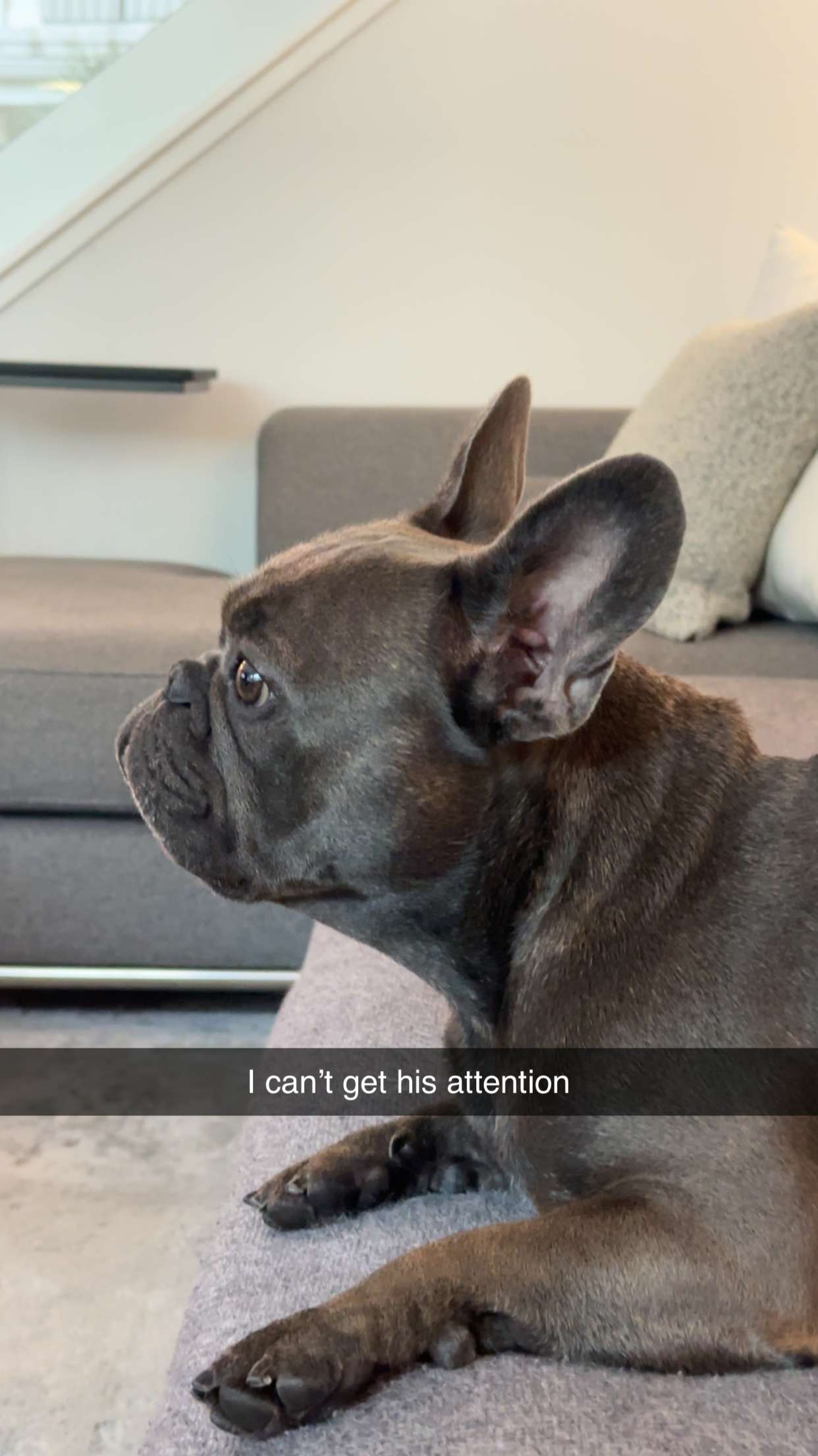 kylaayese snapchat image archive image