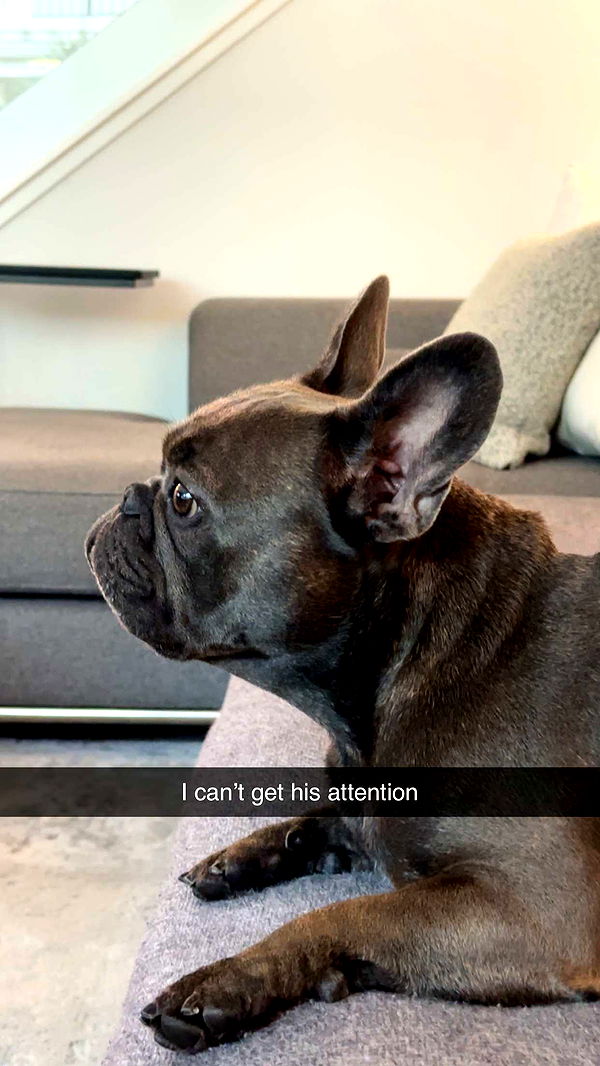 kylaayese image ~ Altpins