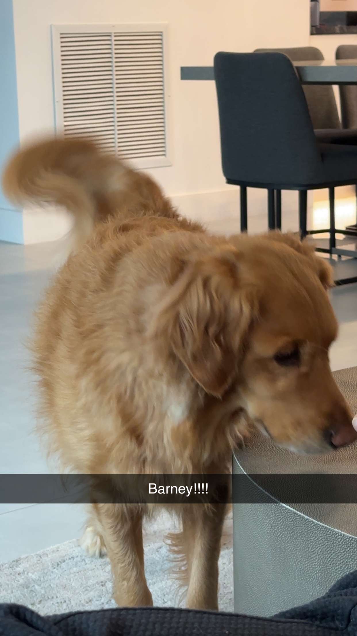 kylaayese snapchat image archive image