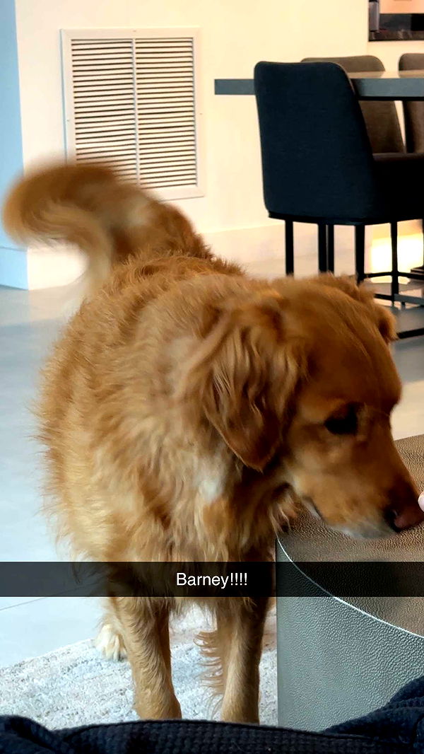 kylaayese image ~ Altpins