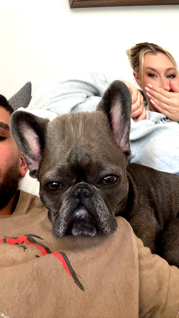 kylaayese image ~ Altpins