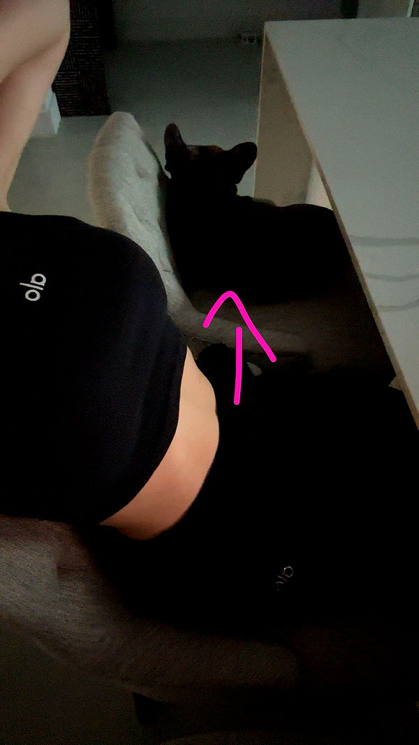 kylaayese image ~ Altpins