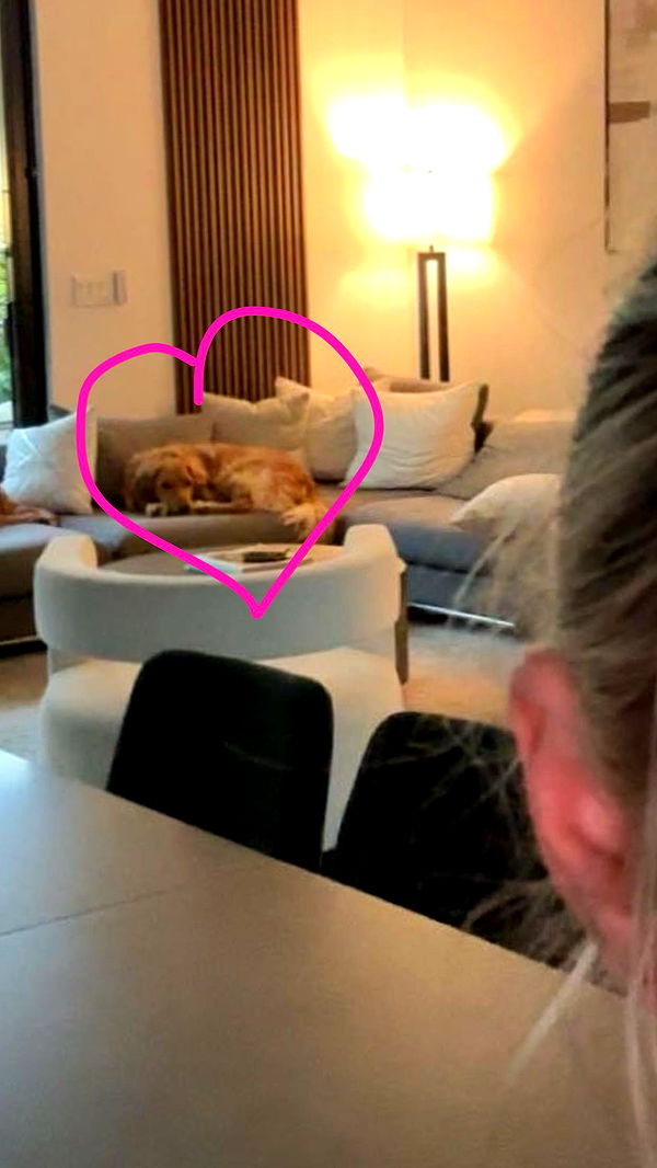 kylaayese image ~ Altpins