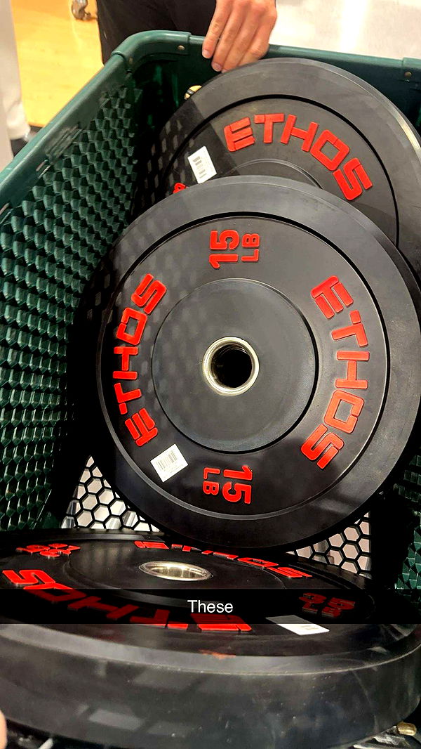 kylaayese image ~ Altpins