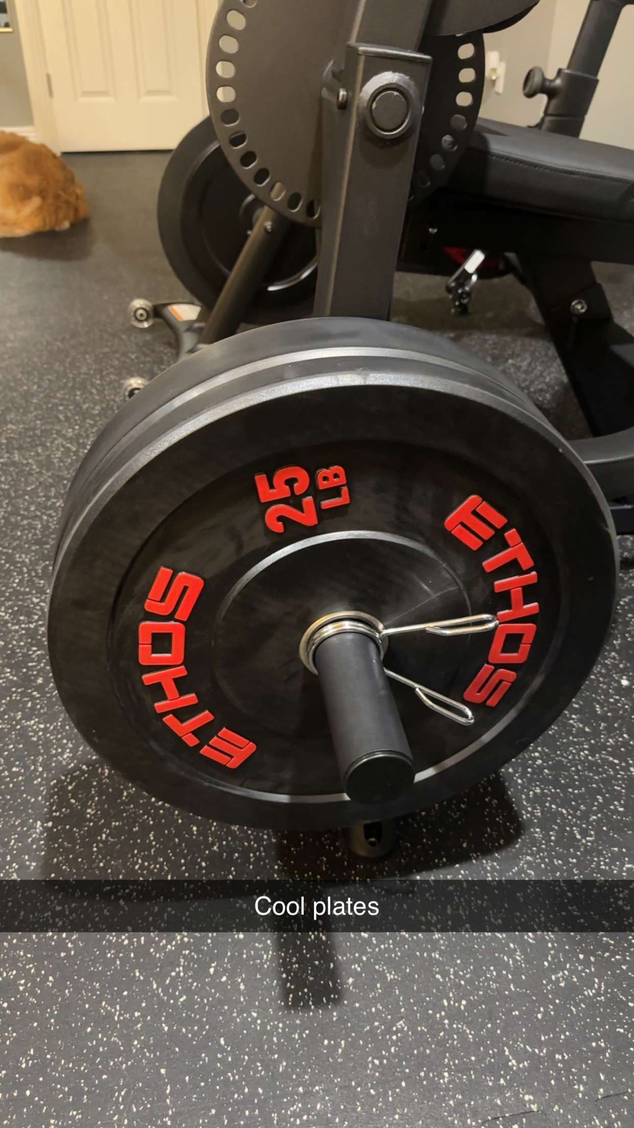 kylaayese snapchat image archive image