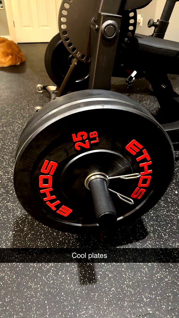 kylaayese image ~ Altpins