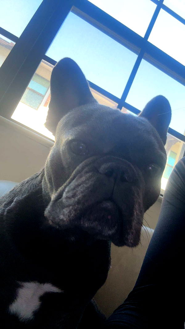 kylaayese image ~ Altpins