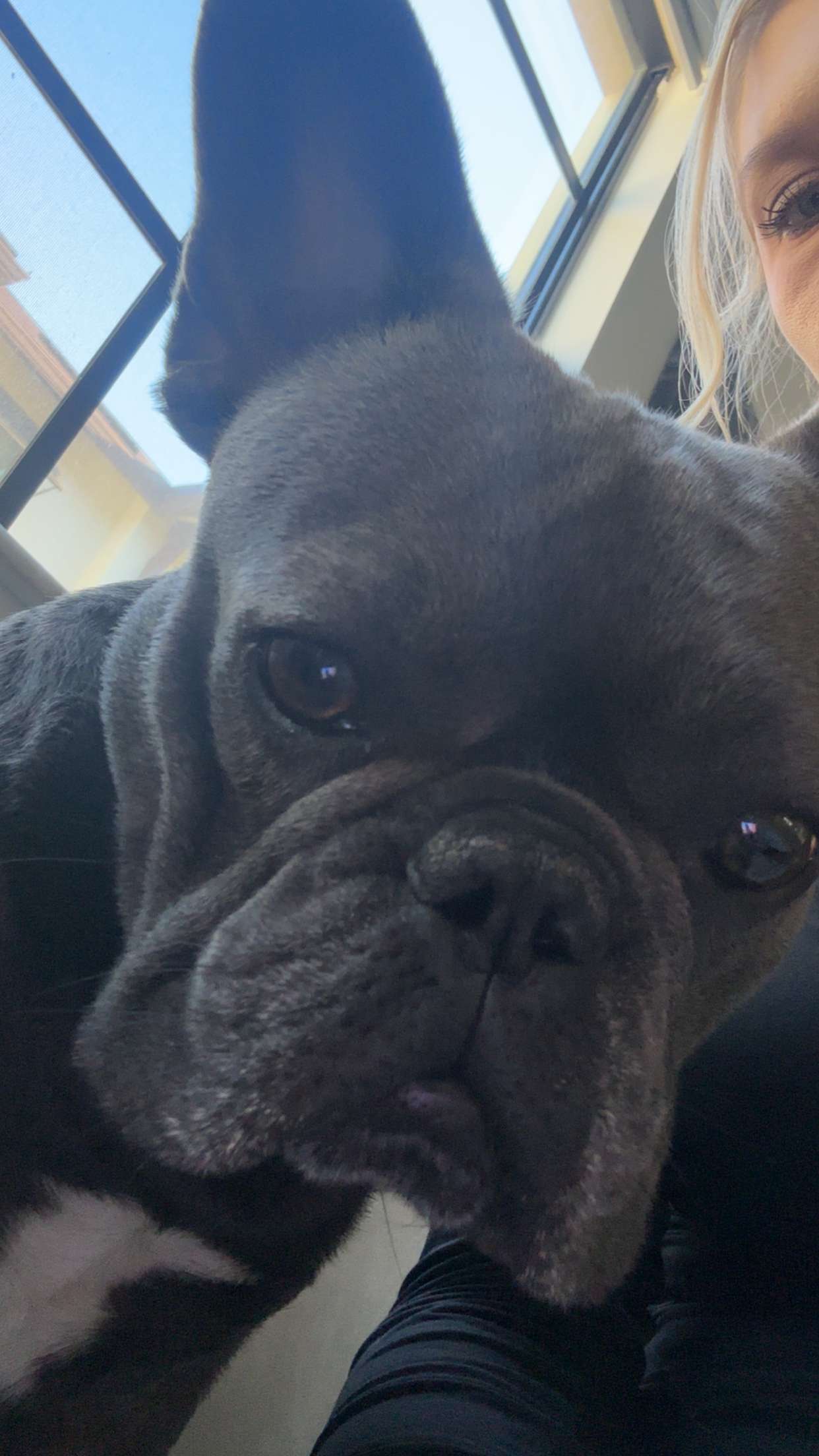 kylaayese snapchat image archive image