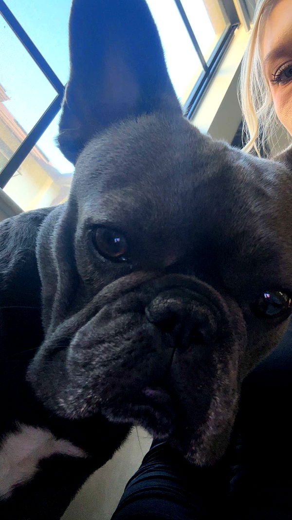 kylaayese image ~ Altpins