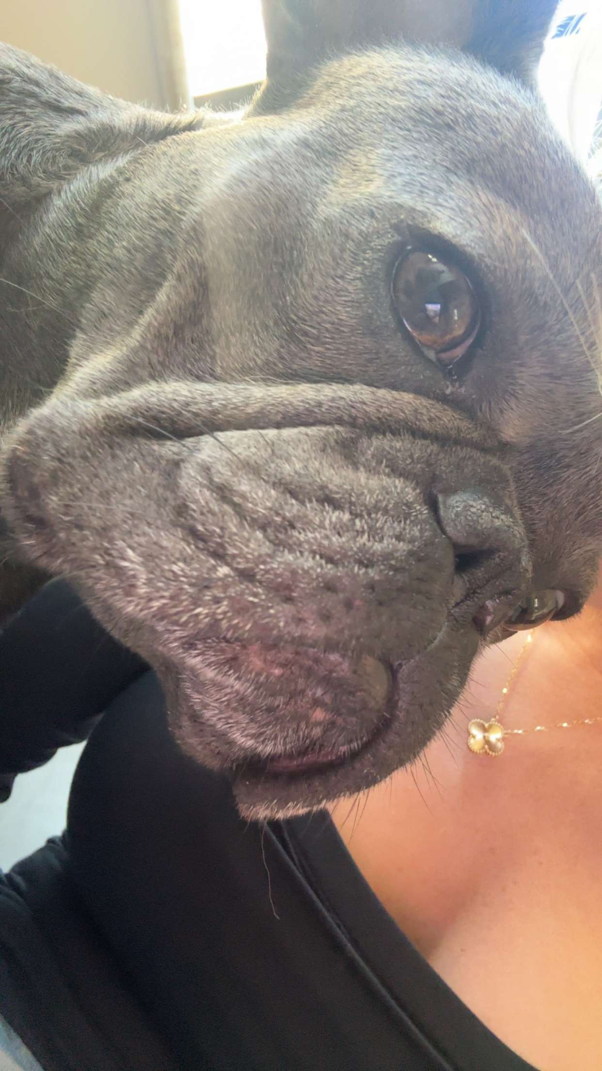 kylaayese snapchat image archive image